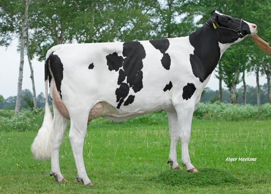 Bwn Famke P V: Fun P
Eig: VOF Booij-Ottens, Benneveld
Bwn Famke P V: Fun P
Eig: VOF Booij-Ottens, Benneveld