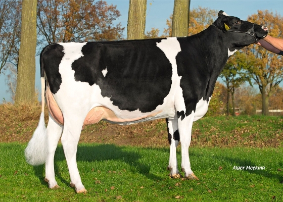 Delta Monica 4 (s. Rodeo); owner: Mts. A.J.M. & A.A.M.A. Evers-van Mierlo, The Netherlands