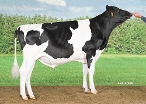 Delta Skippy (Paragon)