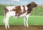 Delta Yield