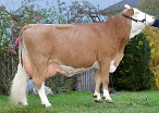 Hella (s. Mint), 3rd calver