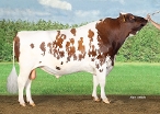 Delta Rosebud Red