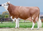 Galane (s. Royal), dam of Huberus